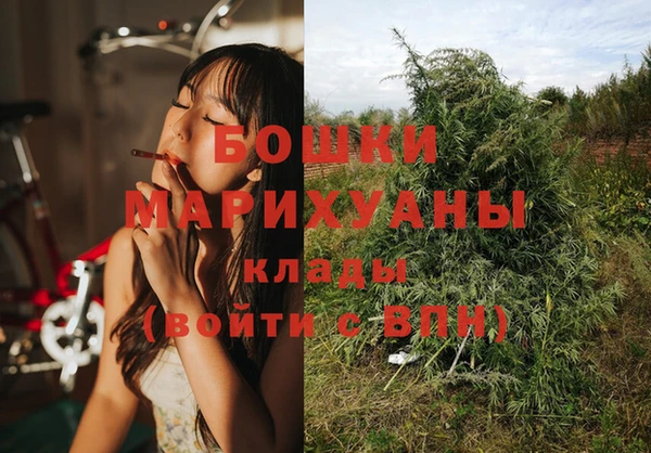 крисы Вязники