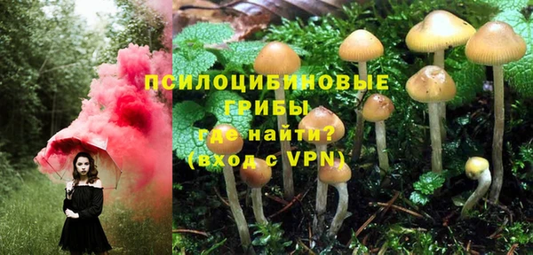 крисы Вязники